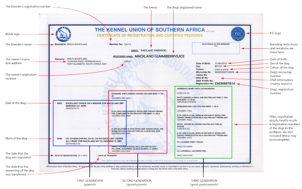 KUSA registration document explained